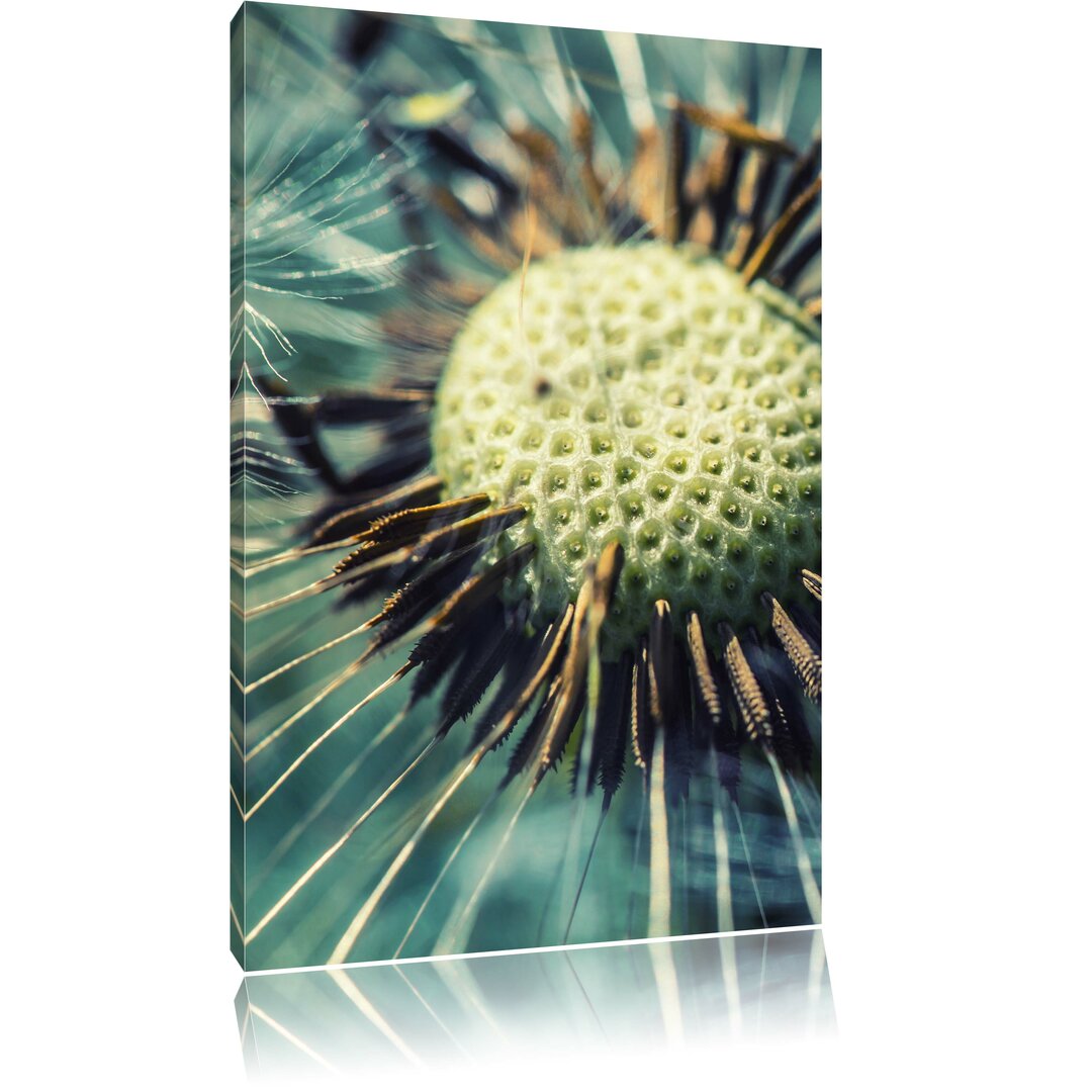 Leinwandbild Pusteblume, Fotodruck