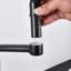 Belfry Kitchen Armana Kitchen Faucet