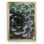 «Zen Succulent I» par J Paul - reproduction de photo sur toile encadrée-2023174108-2023174107