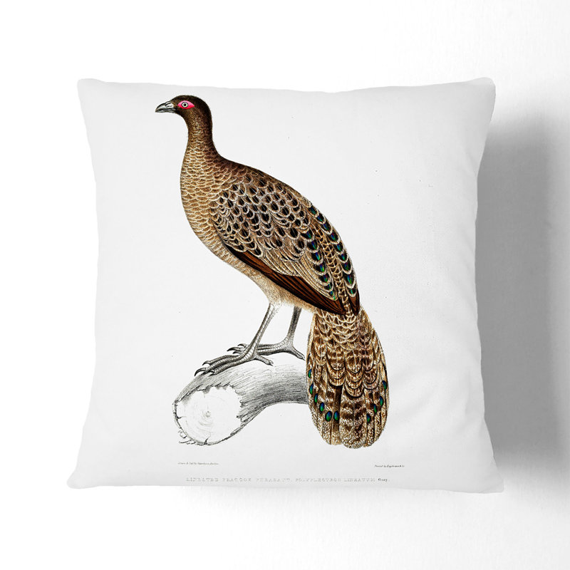 Square Throw Cushion, 40cm H x 40cm W x 15cm D