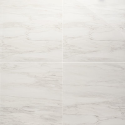 Large Format 24" x 24" Porcelain Tile