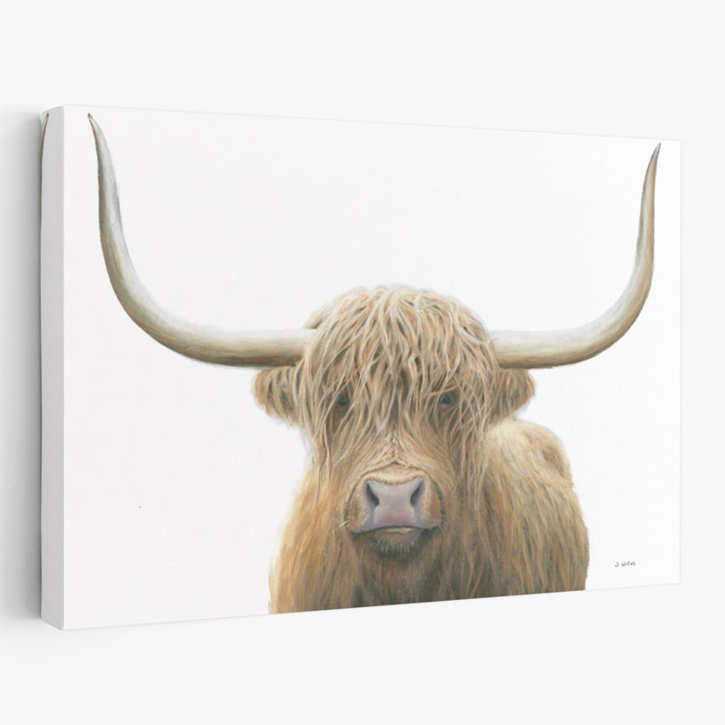 Vache Highland contemporaine et traditionnelle sur fond blanc, H 24 po x l 16 po