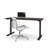 Adjustable Standing Desk-443380251-443380252