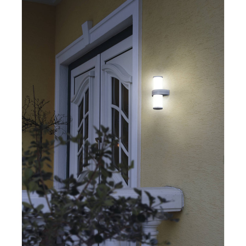 Eris Stainless Steel/Silver 2 - Bulb 35cm H Frosted Glass Outdoor Armed Sconce
