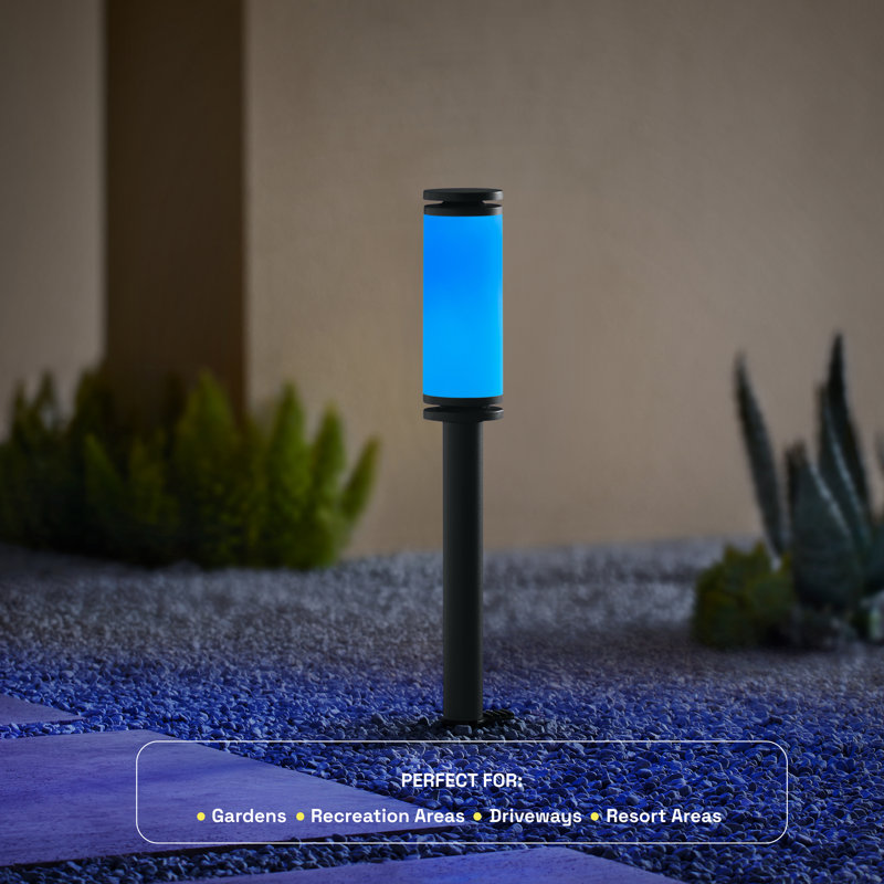 Éclairage de paysage à basse tension - lumière blanche RVBB, conception moderne, finition en aluminium noir durable, installation facile, résistant aux intempéries, piquet en métal robuste