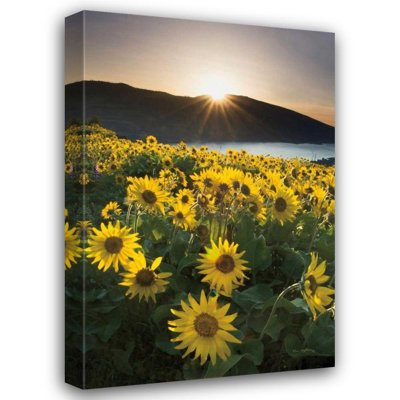Astoria Grand Audit, Lisa Gallery Wrapped Canvas Art Titled: Columbia River Gorge Sunrise