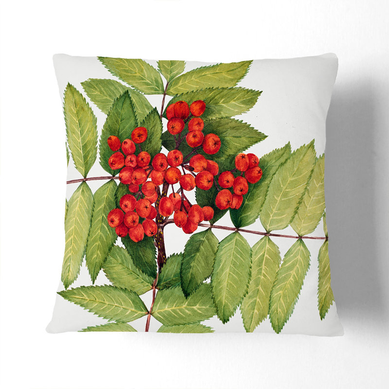 Western Mountain Ash Scatter Cushion, 40cm H x 40cm W x 15cm D, White
