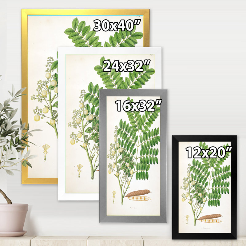 Vintage Botanicals VII - peinture sur toile, H 32 po x l 16 po x P 1 po, Cadre doré