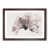 Walnut Framed selected