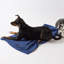 Tapis pour animaux Bangor Rose Paw-1148924692