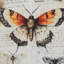 Art mural Jossletts (ensemble de 3)
