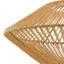 1 - Light  Caged Pendant
