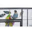 Cage à oiseaux 59,25 po-211704893
