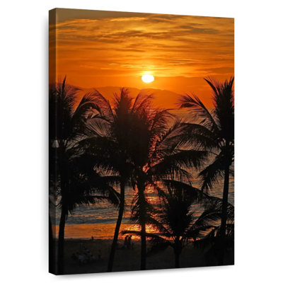 Palmiers Gillard Playa Sunset