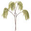 Ensemble de 2 plantes à roseaux artificiels-440331921