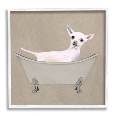 Baignoire Chihuahua