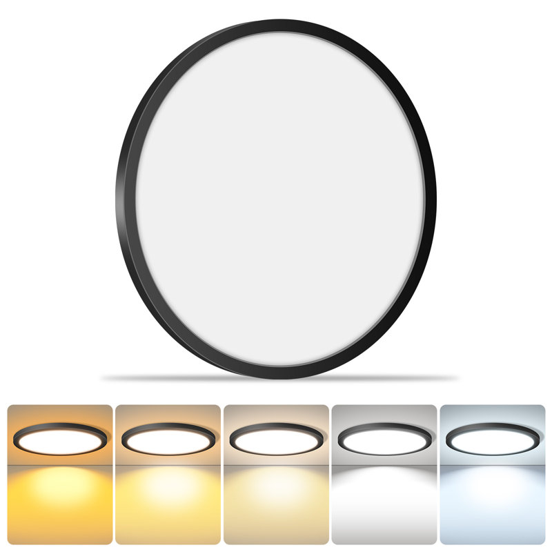 16 Inch Round Black Ceiling Light,30W 120V 5CCT Dimmable Slim LED Ceiling Light, Close to Ceiling Light Fixtures for Bedroom, Kitchen, Hallway, Laundry