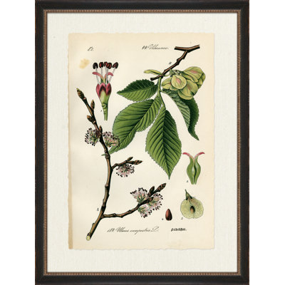 Feldrufter Print