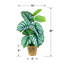 30'' Faux Prayer Plant in Wicker/Rattan Basket