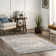 Guarani Oriental/Persian Machine Washable Area Rug for Living Room Bedroom Dining Room Kitchen