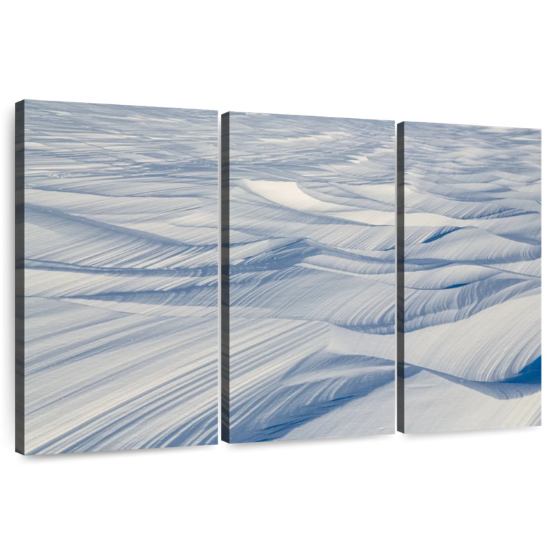 Alvord Arctic Tundra, 20" H x 33" W