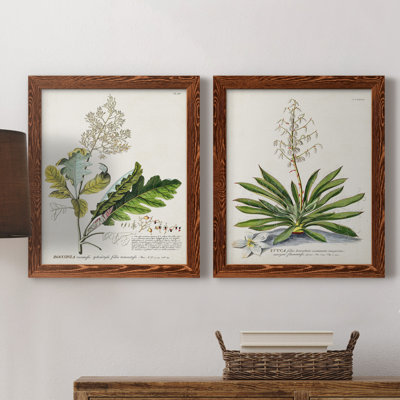 «Allurant Botanical I», ensemble de 2 reproductions d'art sur toiles