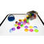 Coquilles tactiles Edxeducation - transparent - mini pot - ensemble de 72