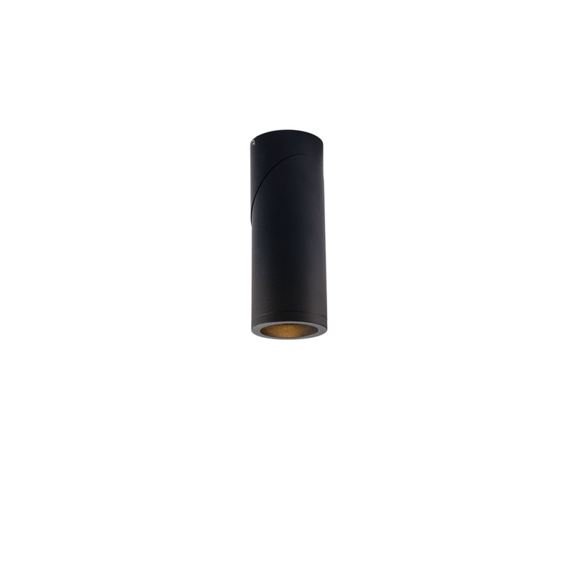 Flush Mount, Black