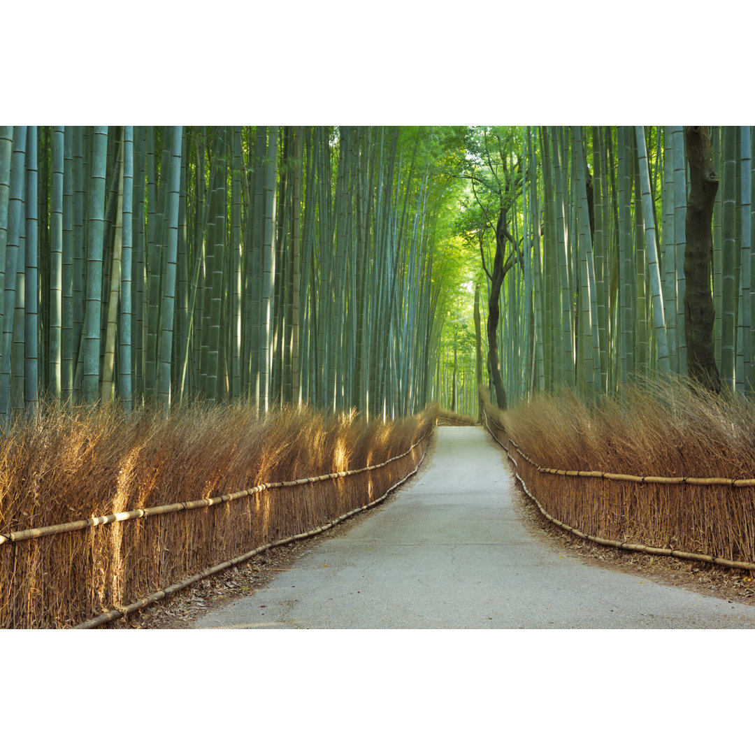 Pfad durch den Arashiyama-Bambuswald bei Kyoto, Japan