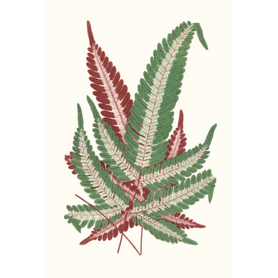 Collected Leaves IV by Vision Studio - Wrapped Canvas Print