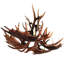 8 - Light Chandelier-378418663
