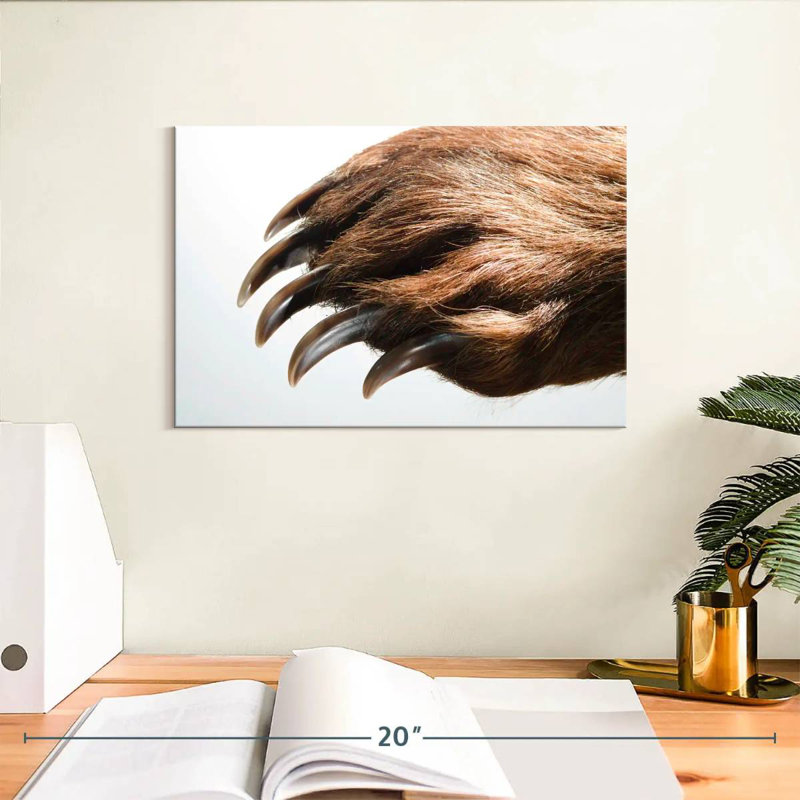Brampt Brown Bear Claws, 8" H x 12" W