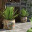 Satsuma Garden & Peacock Porcelain Fishbowl-13988891-86176742