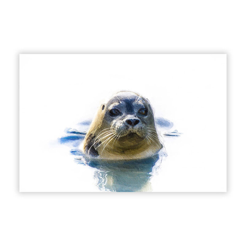 Grey Seal - Frameless Print, 21 cm H x 29.7 cm W