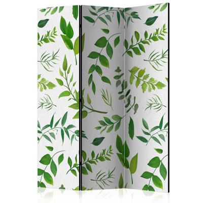 Gushwa 135 cm W x 172 cm H 3 - Panel Solid Wood Folding Room Divider