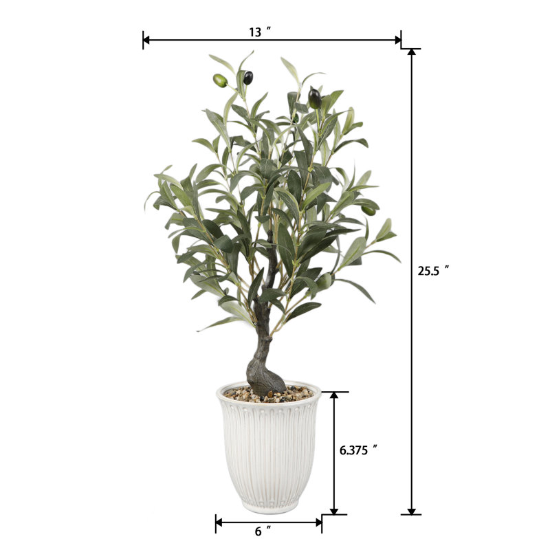 25.5" Olive Tree In 6" TEXTURE CERAMIC 6*6*6.25