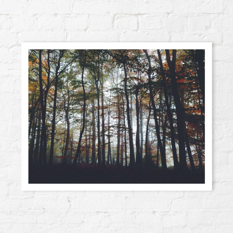 Through The Canopy - No Frame Print