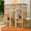 Cat House-505877411