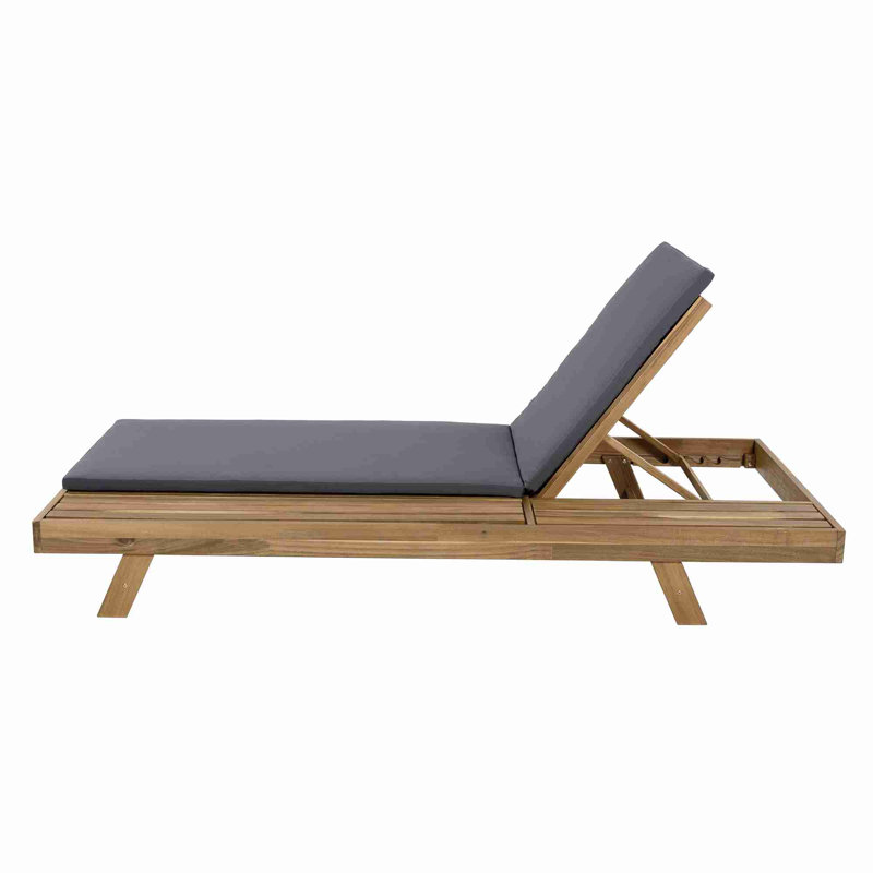 Ensemble de chaises longues, Gris foncé, Brun pâle