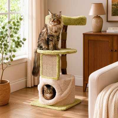 Arbre à chat style Mid-Century moderne avec peluche et perchoir