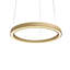 1 - Light Chandelier-99842473-99842472