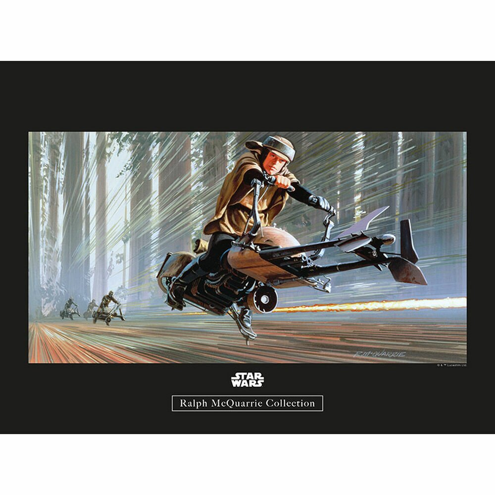 Poster Star Wars Rmq Endor Speeder