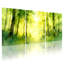 «Winter forest forest trees nature», ensemble de 3 reproductions d'art sur toile-1189379598
