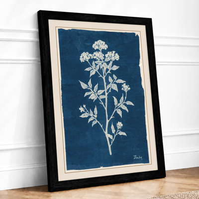 Flowering Plant Study Botanical - Framed Print