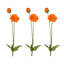 Coquelicot d'été + bourgeon 29 po -853245133