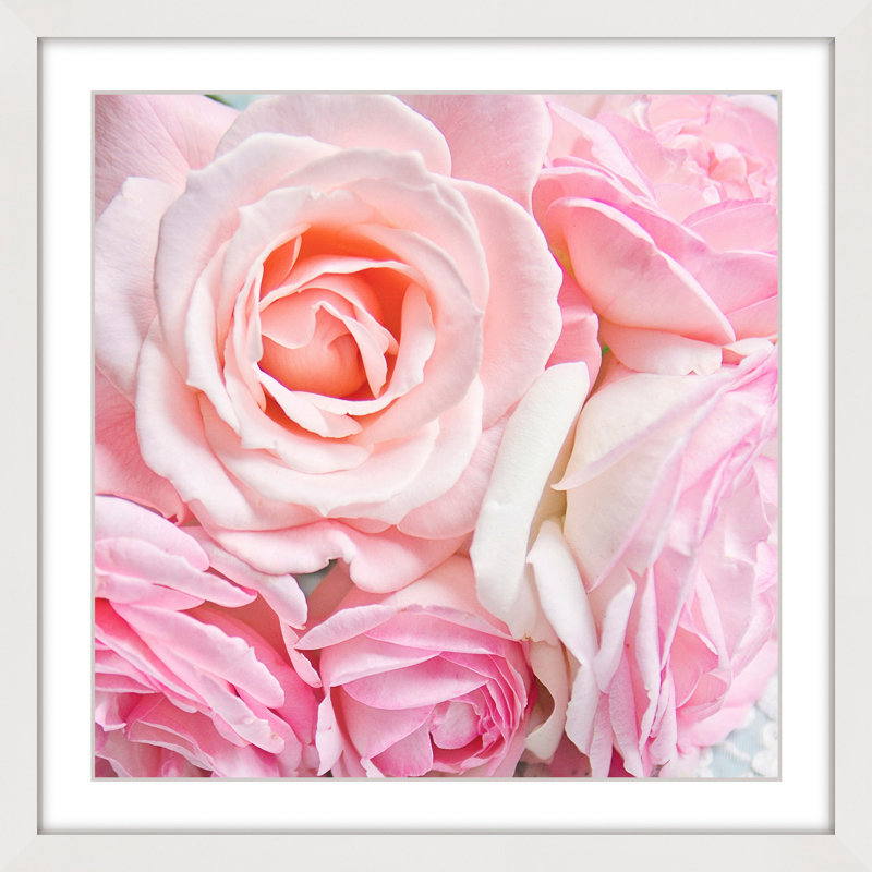« rose roses » par sylvia cook, reproduction d’art encadrée, H 24 po x l 24 po x P 1,5 po