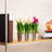 Polysilk Tulip Arrangement in Pot