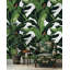 Papier peint botanique moderne vert avec feuilles de bananier tropical