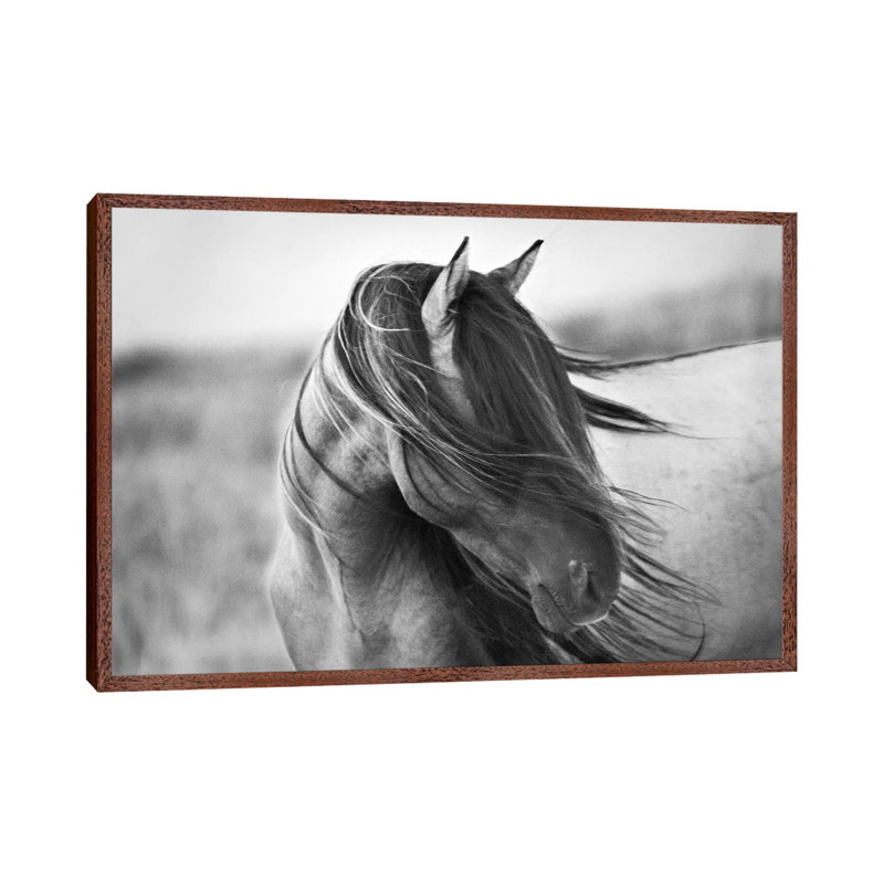 Tony Stromberg - Wrapped Canvas Print, 101.6 cm H x 66.04 cm W, Classic Wood Floater Framed