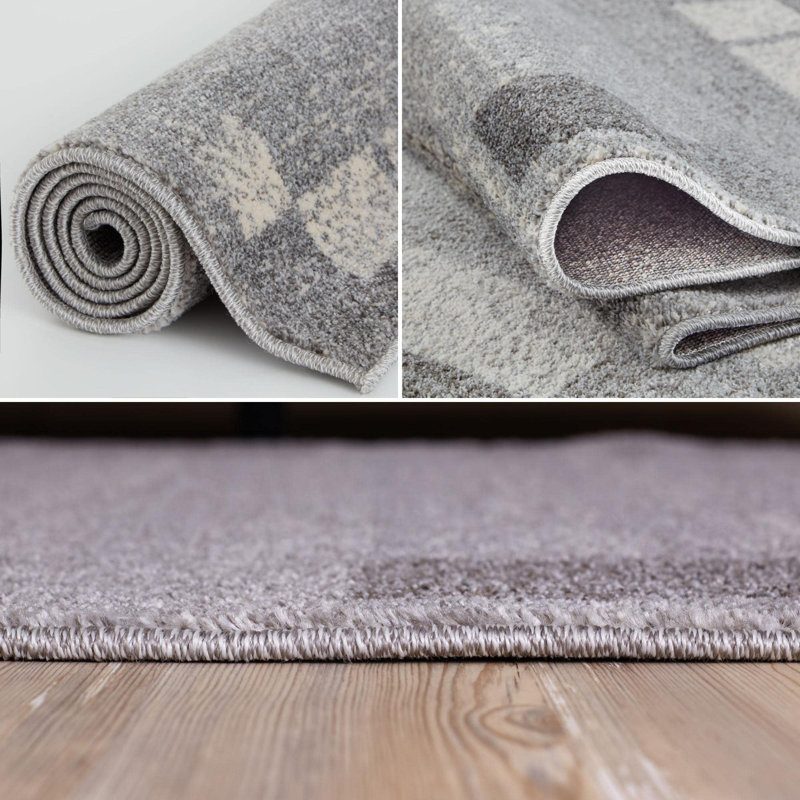 Aniisa Abstract 160cm X 230cm Area Rug